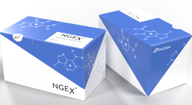 NGEXbox-small